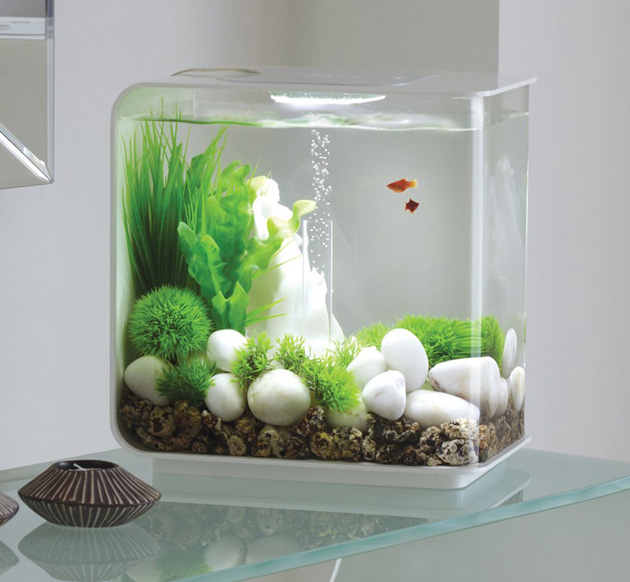 Lifetime Acrylic Fish Tank