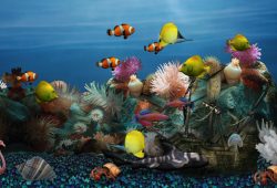 Things To Consider Before Choosing Discount Fish Tanks