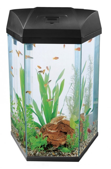 Hexagon Fish Tanks