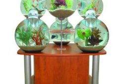 Home Fish Aquarium Equipment
