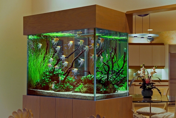 Unique Aquarium Decorations