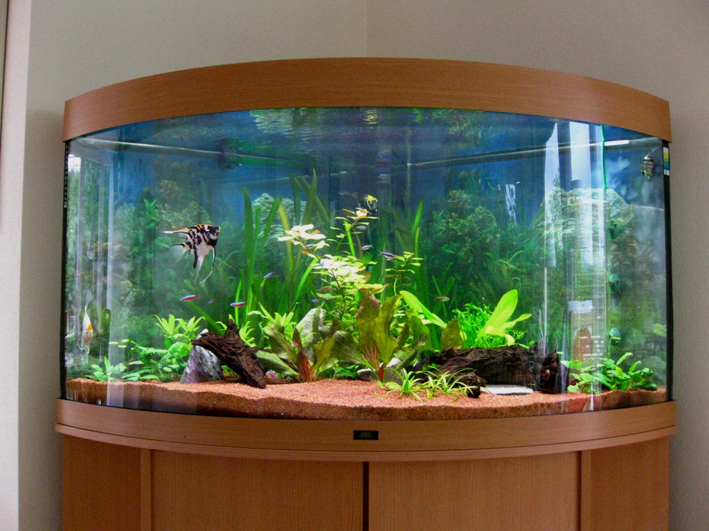 How to Make the Most of Your Aquarium Water
