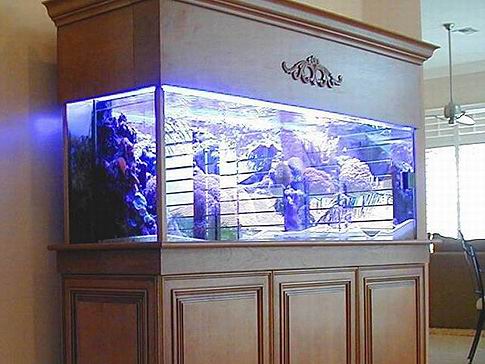 Fish Tank Canopy