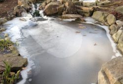 Winter Maintenance of Pondless Water Features