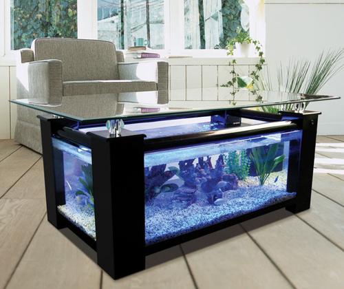 Coffee Table Fish Aquarium