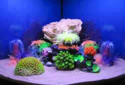 Information On Aquarium Decorations