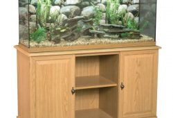 Fish Tank Stands