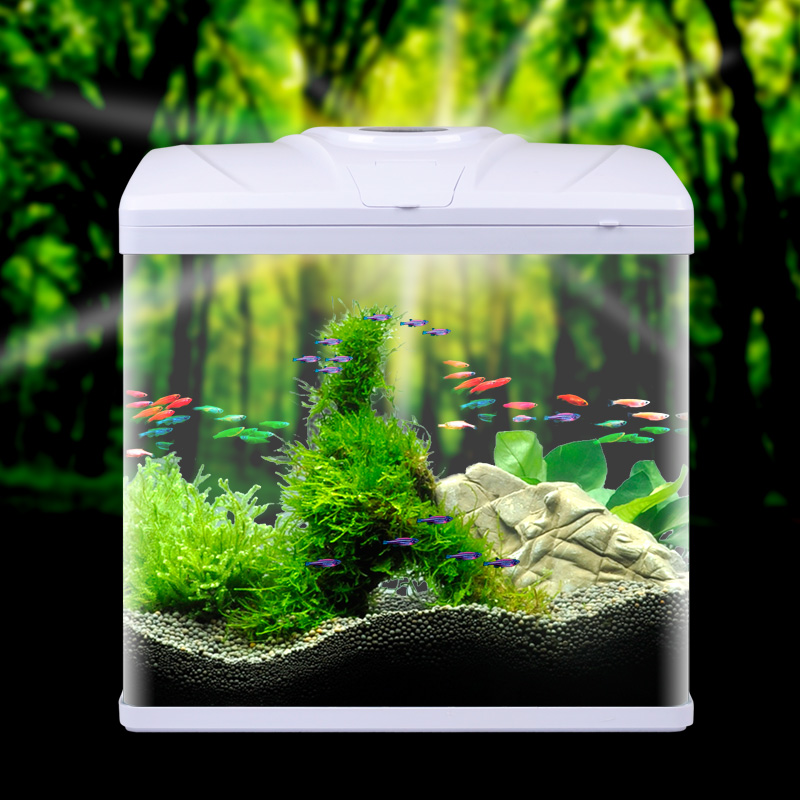 Small Fish Tanks